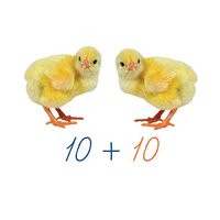 Счетный материал на магнитах "Цыплята". - «globural.ru» - Рузаевка