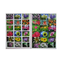 Английское лото "Цветы - травы" - «globural.ru» - Рузаевка