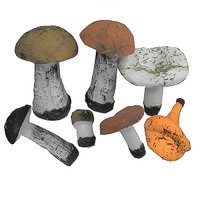 Набор муляжей грибов 7 штук - «globural.ru» - Рузаевка