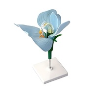 Модель цветка гороха - «globural.ru» - Рузаевка