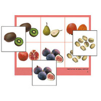 Лото "Фрукты, ягоды, орехи" (4 планшета, 24 карточки, цветное, ламинированное) - «globural.ru» - Рузаевка