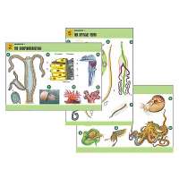 Комплект таблиц по биологии демонстрационный "Зоология 1" (14 таблиц, формат А1, лам.) - «globural.ru» - Рузаевка