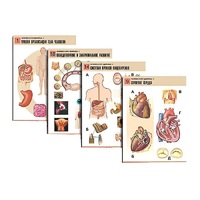 Комплект таблиц по биологии демонстрационный "Человек и его здоровье 1" (20 таблиц, формат А1, лам.) - «globural.ru» - Рузаевка