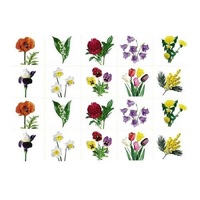 Комплект карточек. Серия наглядных пособий "Запоминай, играй, считай". Цветы. - «globural.ru» - Рузаевка