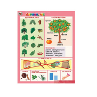 Комплект таблиц. Окружающий мир 5-6 лет. "Животные и растения". - «globural.ru» - Рузаевка