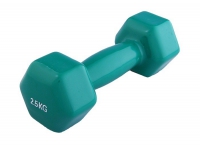 Гантель виниловая 2,5 кг - «globural.ru» - Рузаевка