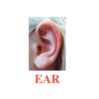 Карточки Домана "Body Parts" ("Части тела") на английском языке - «globural.ru» - Рузаевка