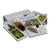 Коллекция "Голосеменные растения" (вариант 2) - «globural.ru» - Рузаевка