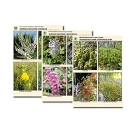 Комплект таблиц по ботанике раздаточных"Многообразие растений. Лесные и луговые" (16 штук, формат А4, лам) - «globural.ru» - Рузаевка
