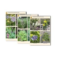 Комплект таблиц по ботанике раздаточных "Многообразие растений. Придорожные и сорные" (16 штук, формат А4, лам) - «globural.ru» - Рузаевка