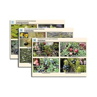 Комплект таблиц по ботанике раздаточных "Многообразие растений. Водные и прибрежные" (16 штук, формат А4, лам) - «globural.ru» - Рузаевка