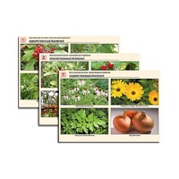 Комплект таблиц по ботанике раздаточных "Многообразие растений. Лекарственные и ядовитые"(16 штук, формат А4,лам) - «globural.ru» - Рузаевка