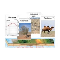 Модель-аппликация "Природные зоны" (ламинированная) - «globural.ru» - Рузаевка