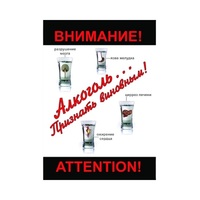 DVD Алкоголь. Признать виновным - «globural.ru» - Рузаевка