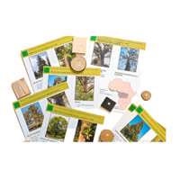 Коллекция "Древесные растения и их распространение" (демонстрационная) - «globural.ru» - Рузаевка