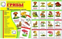 Демонстрационные карточки  "Грибы съедобные и не съедобные" - «globural.ru» - Рузаевка