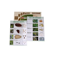 "Шишки, плоды, семена деревьев и кустарников" - «globural.ru» - Рузаевка