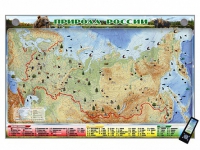 Электронно-информационный (маркерный) стенд "Природа России" адаптивный, с сенсорным пультом управления и планшетом со шрифтом Брайля (география) - «globural.ru» - Рузаевка