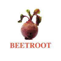 "Vegetables-Greenery-2" ("Овощи-Зелень-2") английские карточки Домана - «globural.ru» - Рузаевка