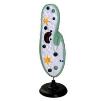 Модель инфузории-туфельки - «globural.ru» - Рузаевка