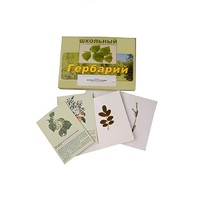 Гербарий "Деревья и кустарники" (22 вида, с иллюстрациями) - «globural.ru» - Рузаевка