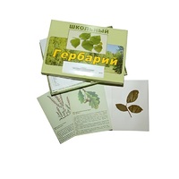 Гербарий "Дикорастущие растения" (30 видов, с иллюстрациями) - «globural.ru» - Рузаевка