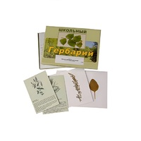 Гербарий "Лекарственные растения" (22 вида, с иллюстрациями) - «globural.ru» - Рузаевка