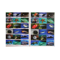 Английское лото "Подводный мир" - «globural.ru» - Рузаевка