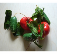 Ветка муляжей "Ассорти" (овощи) - «globural.ru» - Рузаевка