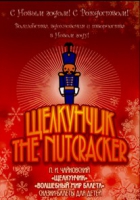 DVD "Щелкунчик. Волшебный мир балета" сказка-балет для детей - «globural.ru» - Рузаевка
