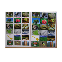 Английское лото "На прогулке" - «globural.ru» - Рузаевка