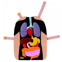 Фланелеграф-фартук "Анатомия" - «globural.ru» - Рузаевка