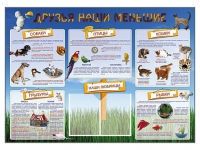 Стенд-уголок "Друзья наши меньшие" - «globural.ru» - Рузаевка