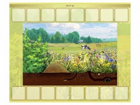 Магнитно-маркерный плакат "Луга" с набором магнитных карточек + методические рекомендации - «globural.ru» - Рузаевка