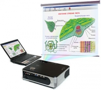 Диск с электронными плакатами, презентациями (электронный учебник) по биологии (150 тем)  - «globural.ru» - Рузаевка