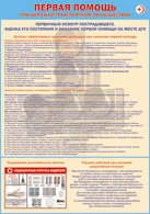 Плакат "Первичный осмотр пострадавшего, оценка его состояния и оказание первой помощи на месте ДТП " 1000*1400 винил - «globural.ru» - Рузаевка