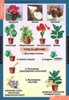 Окружающий мир 1 класс (комплект таблиц) - «globural.ru» - Рузаевка