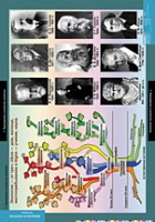 Биология. Введение в Экологию (комплект таблиц) - «globural.ru» - Рузаевка