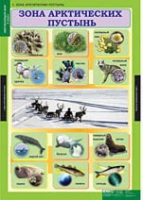 Окружающий мир 4 класс (комплект таблиц) - «globural.ru» - Рузаевка