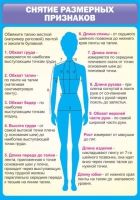 Стенд "Снятие мерок" (вариант 2) - «globural.ru» - Рузаевка