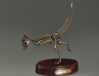 Модель скелета динозавра Pachycephalosaurus - «globural.ru» - Рузаевка