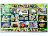 Комплект оборудования "Живой уголок" (животные) с тифлопереводом и сурдокомментариями - «globural.ru» - Рузаевка