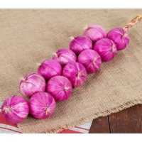 Муляжи "Связка лука" - «globural.ru» - Рузаевка