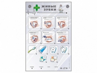 Интерактивный стенд "Живые зубки" - «globural.ru» - Рузаевка