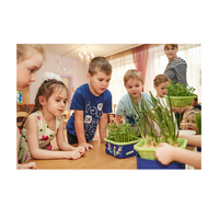 Обучающий комплект экологической направленности "Сити-фермер 2.0 Детский сад" 10 человек - «globural.ru» - Рузаевка