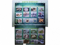 Комбинированный модульный комплекс "Лого-биолог" - «globural.ru» - Рузаевка