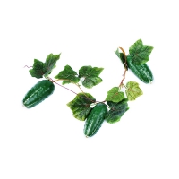 Муляж "Ветка огурцов" - «globural.ru» - Рузаевка