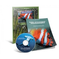 Электронное наглядное пособие «Рыбы. Земноводные. Пресмыкающиеся» - «globural.ru» - Рузаевка