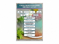 Стенд "Схема приготовления мясных котлет" - «globural.ru» - Рузаевка