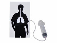 Демонстрационная модель "Эффект курения" - «globural.ru» - Рузаевка